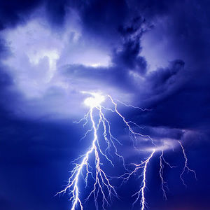 Meet your Posher, Savannah